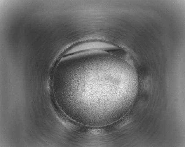 X0000066970064200603311500