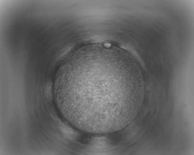 X0000066970066200603311500