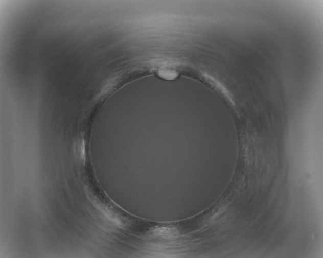 X0000066970067200603311500