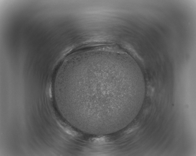 X0000066970068200603311500