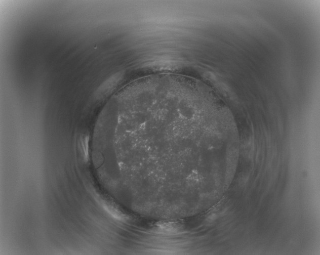 X0000066970070200603311500