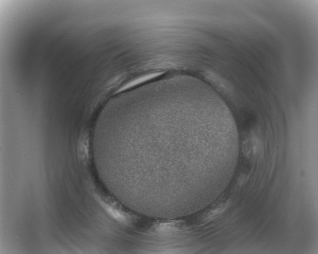 X0000066970072200603311500