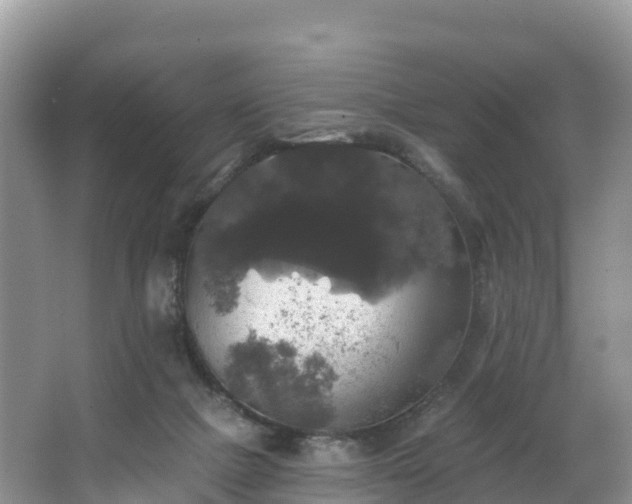 X0000066970073200603311500