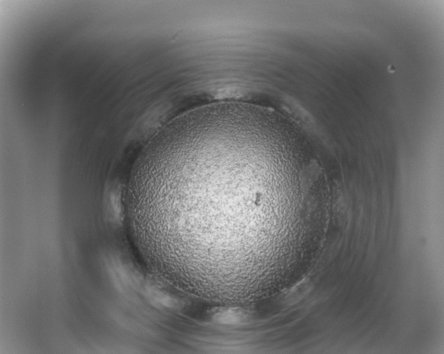 X0000066970074200603311500