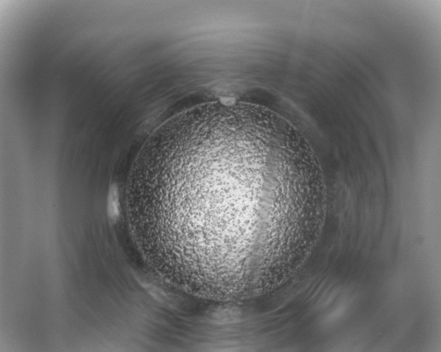 X0000066970075200603311500