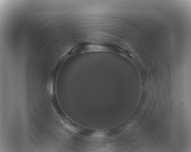 X0000066970076200603311500