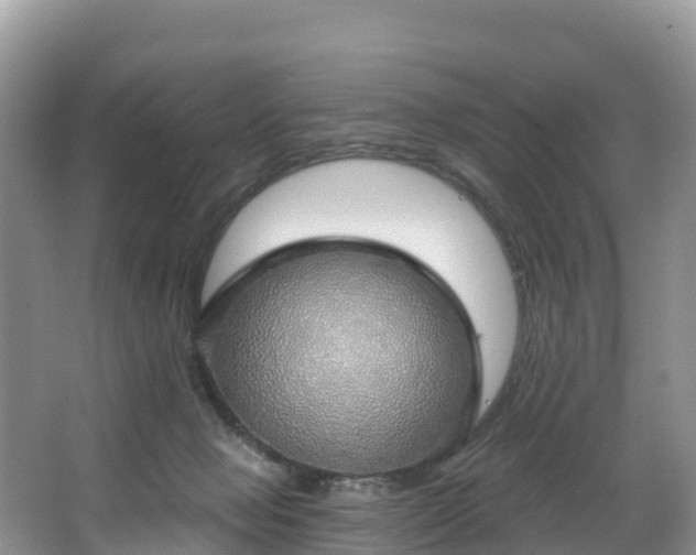 X0000066970077200603311500