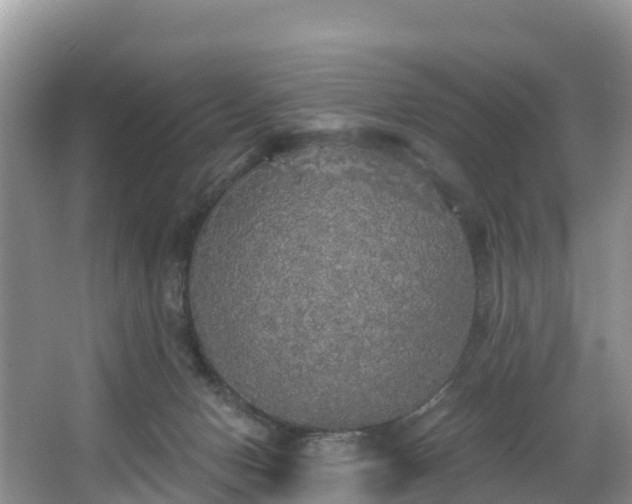 X0000066970078200603311500