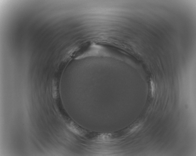 X0000066970080200603311500