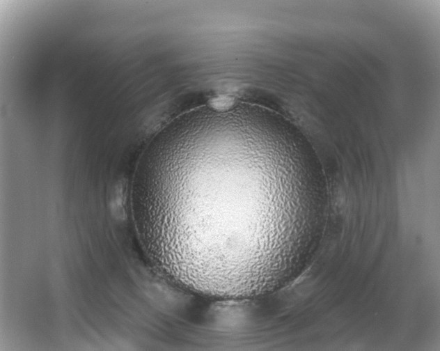 X0000066970082200603311500