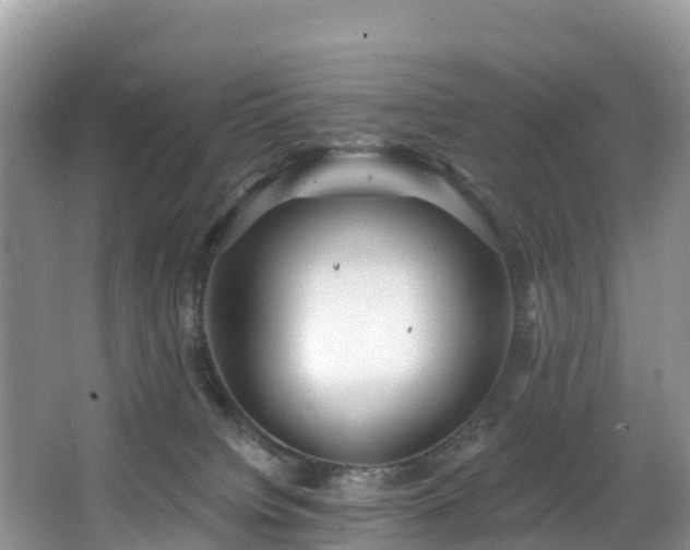 X0000066970084200603311500