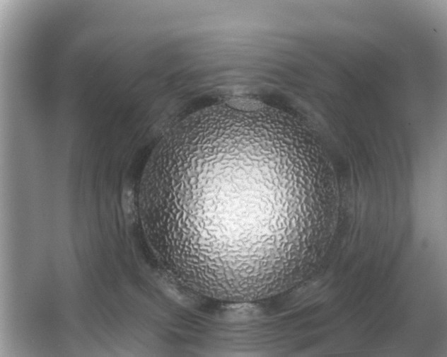 X0000066970087200603311500