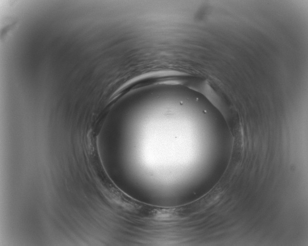 X0000066970088200603311500