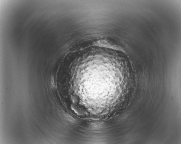 X0000066970089200603311500