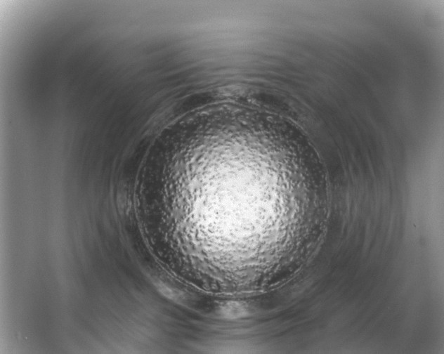 X0000066970091200603311500