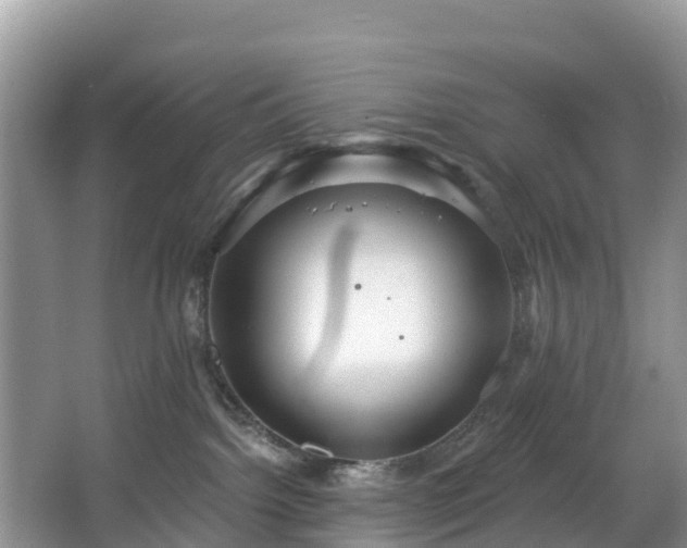 X0000066970092200603311500