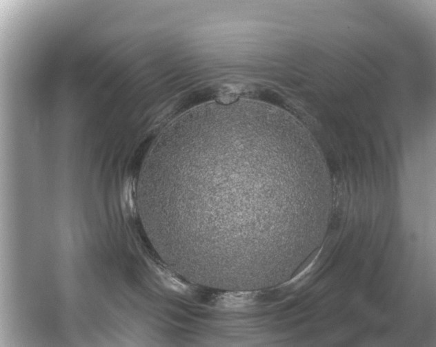 X0000066970094200603311500