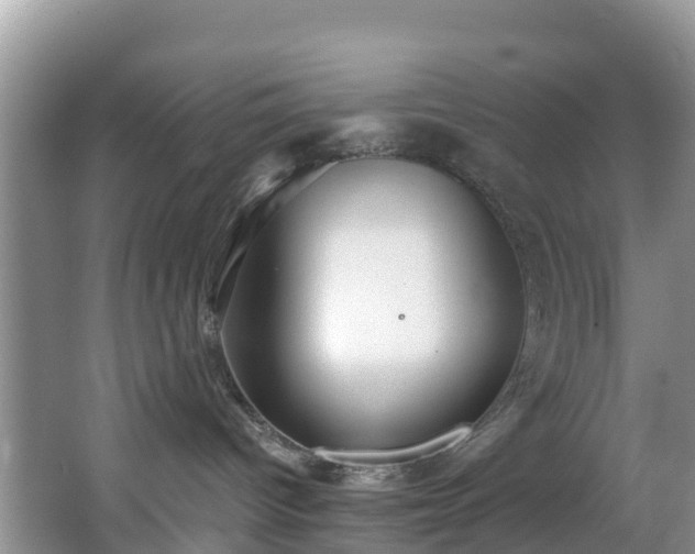 X0000066970096200603311500