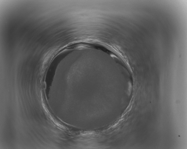 X0000066970097200603311459