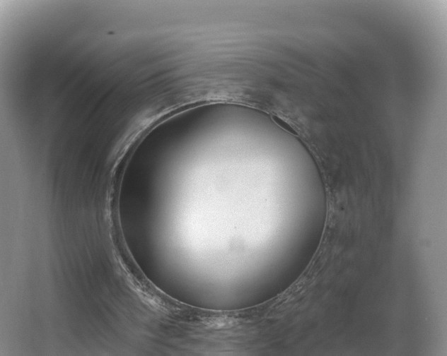 X0000066970098200603311459