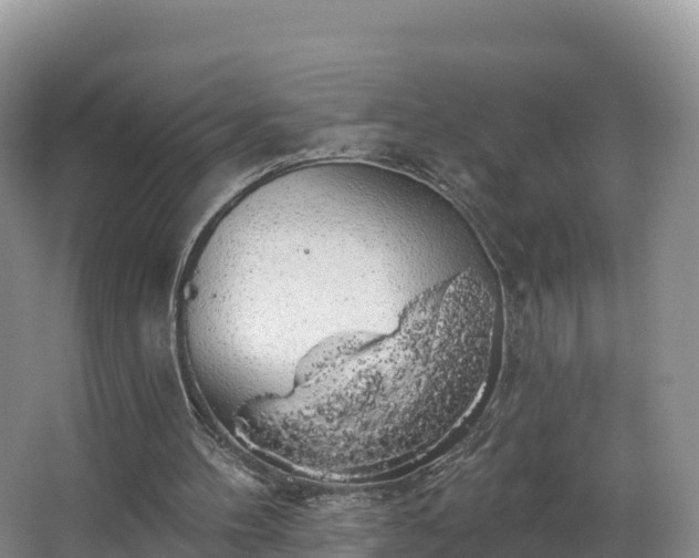 X0000066970100200603311459