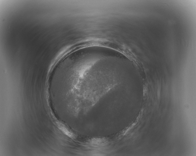 X0000066970101200603311459