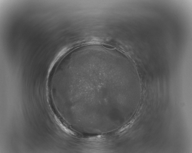 X0000066970102200603311459