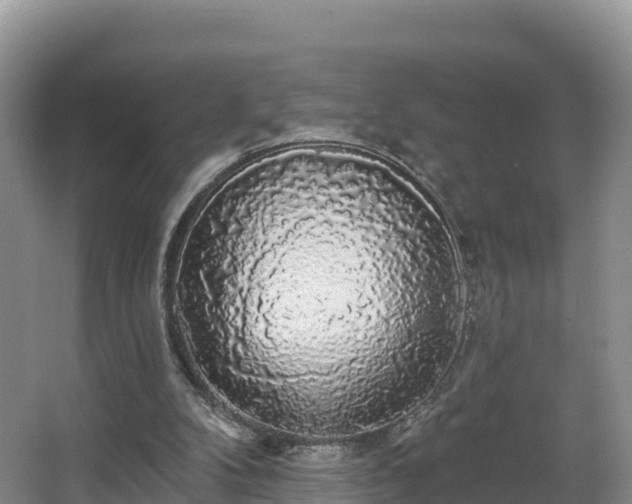 X0000066970104200603311459