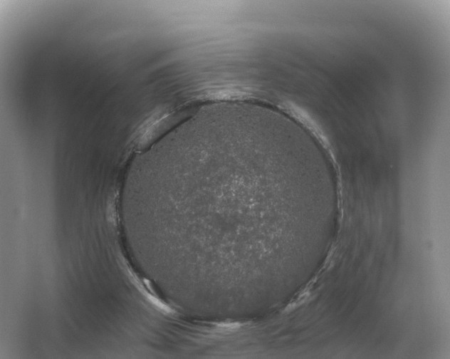 X0000066970105200603311459