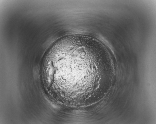 X0000066970107200603311459