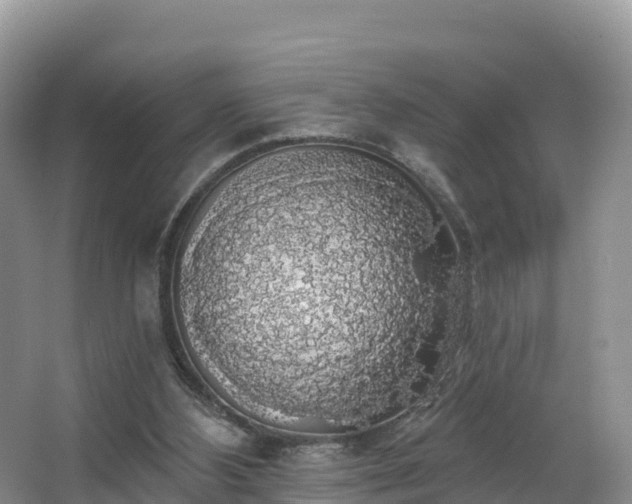 X0000066970108200603311459