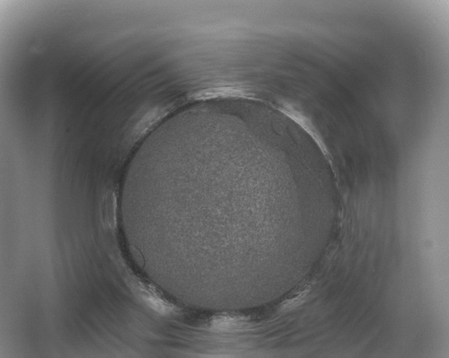 X0000066970109200603311459