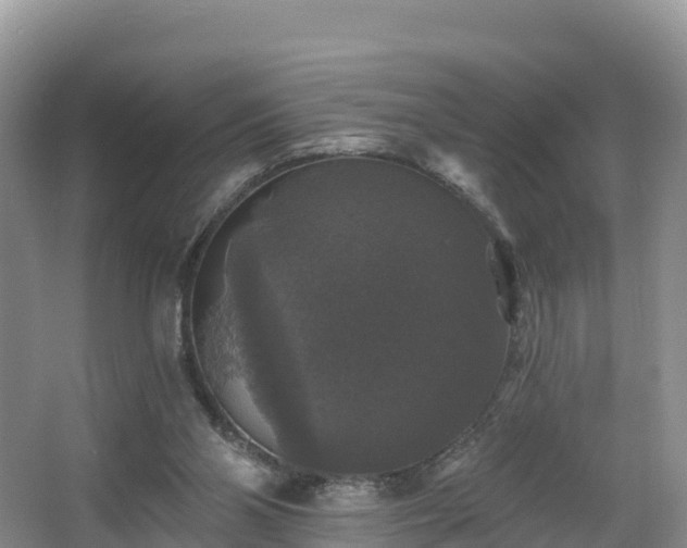 X0000066970110200603311459