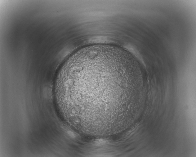 X0000066970111200603311459