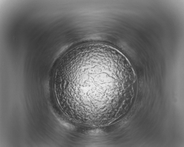 X0000066970112200603311459