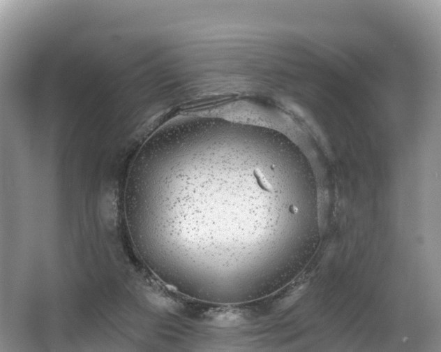 X0000066970113200603311459