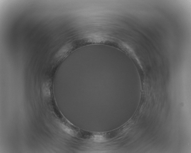 X0000066970114200603311459