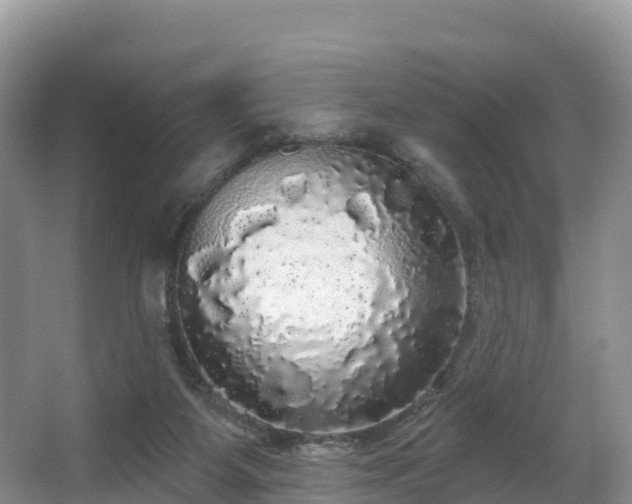 X0000066970115200603311459