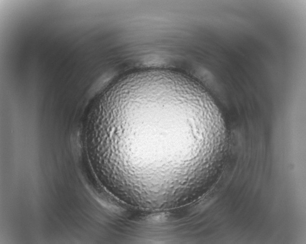 X0000066970116200603311459