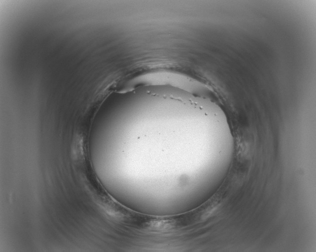 X0000066970117200603311459