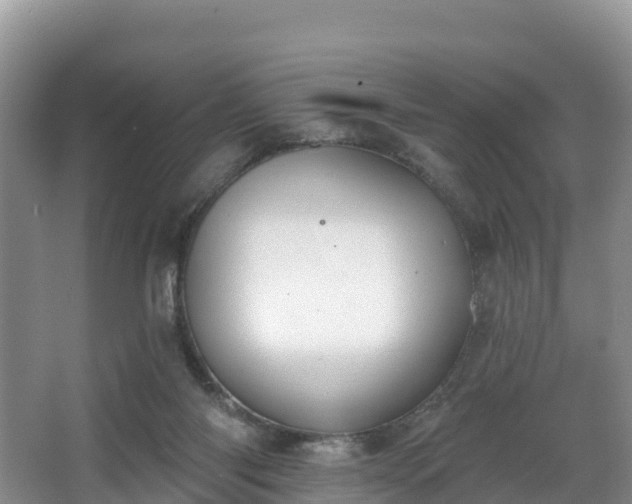 X0000066970118200603311459