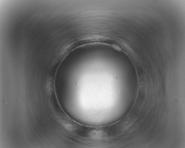 X0000066970119200603311459