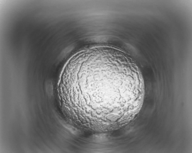 X0000066970120200603311459