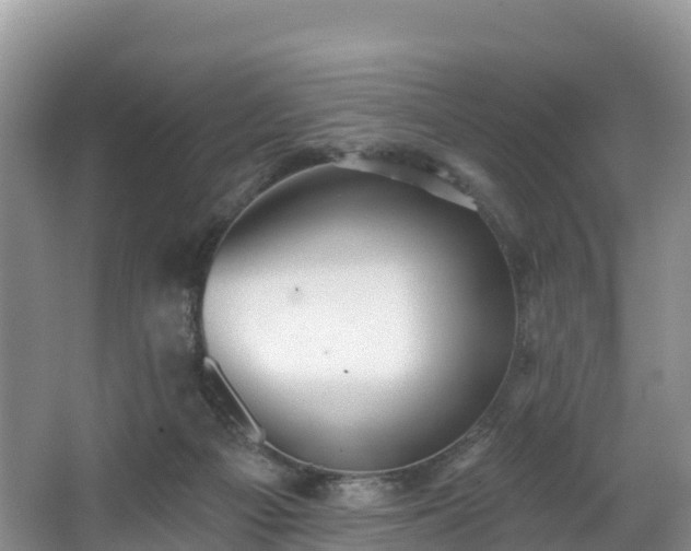 X0000066970121200603311459