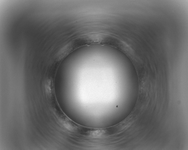 X0000066970122200603311459