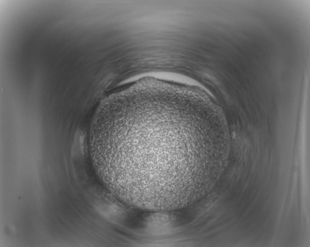 X0000066970123200603311459