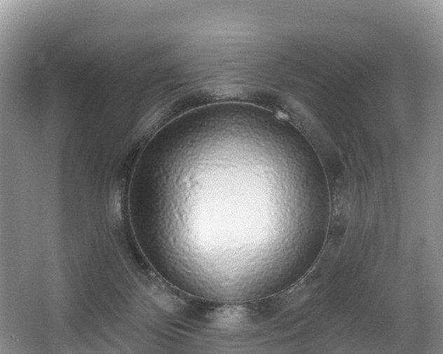 X0000066970124200603311459