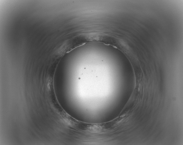 X0000066970125200603311459