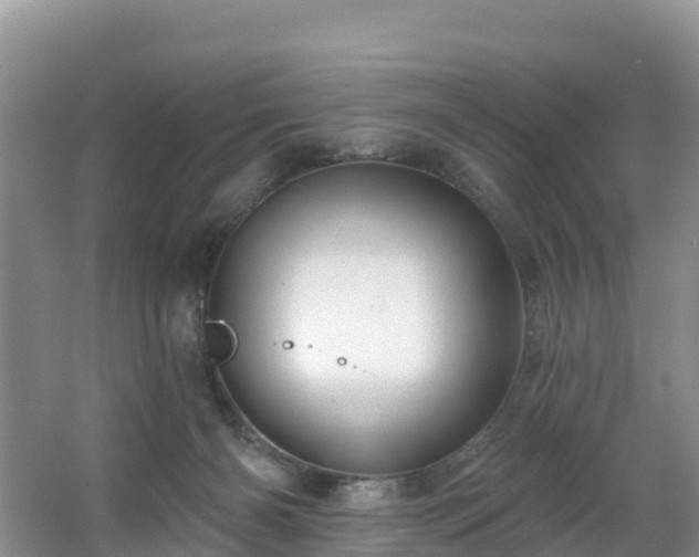 X0000066970126200603311459