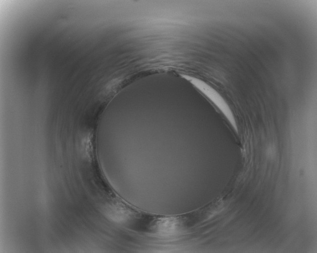 X0000066970127200603311459